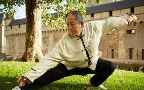 Yang Jwing Ming, kung fu, tai chi, arts martiaux, qi gong