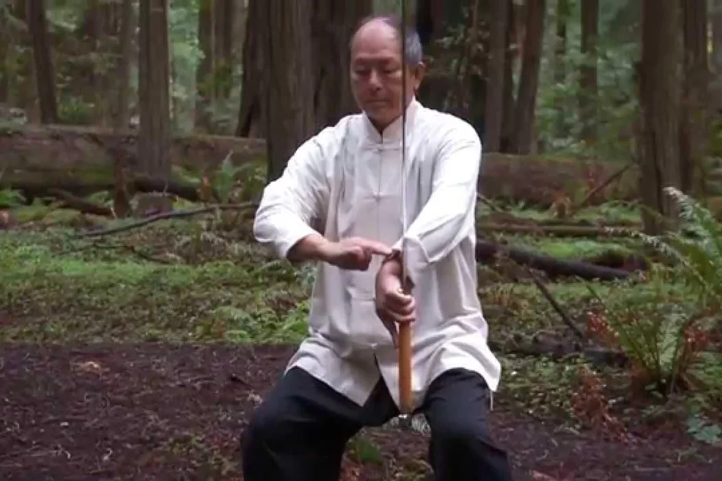 Dr Ynag Jwing-Ming, Taijiquan, Kung Fu, Qi Gong, YMAA